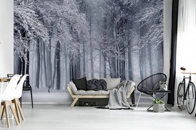 Fototapet - Iarna (152,5x104 cm)