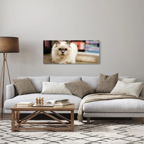 Tablou cu pisica albăr (120x50 cm)