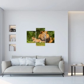 Tablou cu lei (90x60 cm)