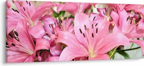 Tablou - Liliac roz (120x50 cm)