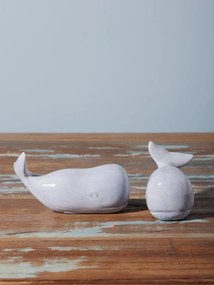 Set solnita si pipernita, Whale