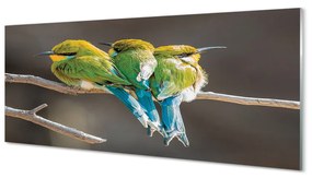 Tablouri acrilice Păsări pe o ramură