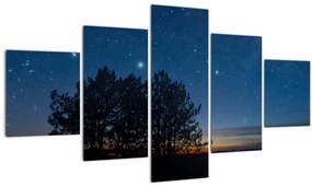 Tablou cu copaci noapte (125x70 cm), în 40 de alte dimensiuni noi