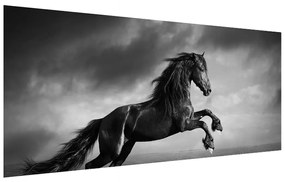 Tablou albnegru cu cal (120x50 cm), în 40 de alte dimensiuni noi
