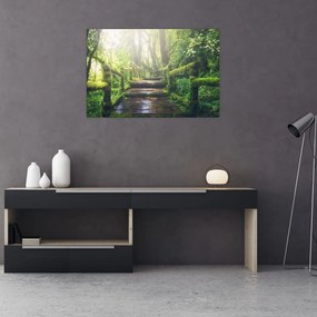 Tablou - trepte din lemn în pădure (90x60 cm)