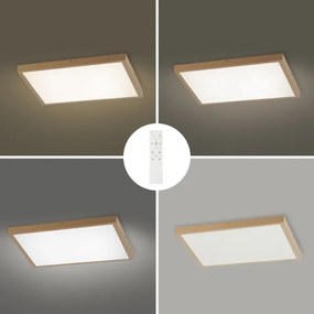 Brilagi - Lampă de baie FRAME SMART LED dimabilă, 50W/230V, 60x60, IP44 + telecomandă