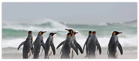 Tablou pinguini în ocean (120x50 cm)