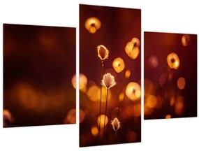 Tablou - Dimineața (90x60 cm)