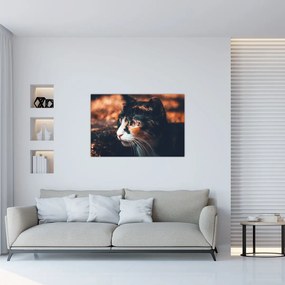 Tablou - Privirea pisicii (90x60 cm)