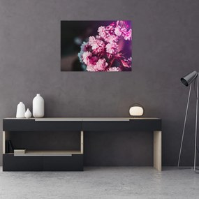 Tablou pe sticlă cu florile copacilor (70x50 cm)