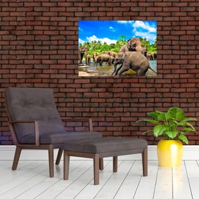 Tablou - Elefanți, Sri Lanka (70x50 cm)