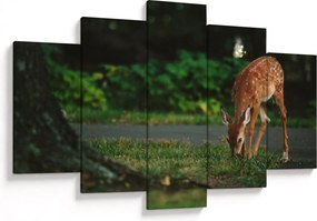 Tablou cu pui de cerb (150x105 cm)