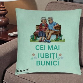 Cadou pentru Bunici - Perna Personalizata Cei Mai Iubiti Bunici Cuplu pe Banca Ilustratie, 40x40 cm, Verde Menta, Husa Detasabila, Perna Inclusa, BEKZ®