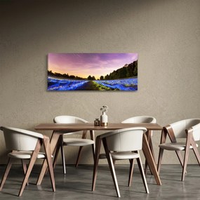 Tablou cu câmp colorat (120x50 cm)