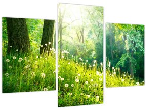 Tablou - Pajiște magică plină de păpădii (90x60 cm)