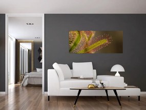 Tablou cu plantă (120x50 cm)