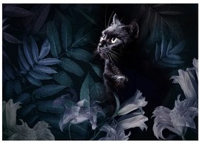 Fototapet - Pisică neagră la pândă - variantă a doua