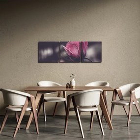 Tablou - Detaliu florii de trandafir (cu ceas) (90x30 cm)