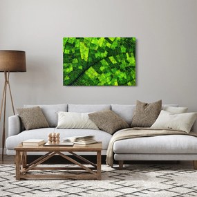 Tablou - Detaliu frunze (90x60 cm)