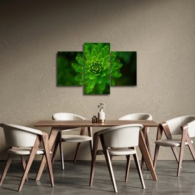 Tablou cu coniferi (90x60 cm)