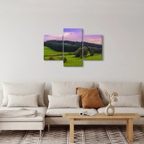 Tablou cu lunca (90x60 cm)