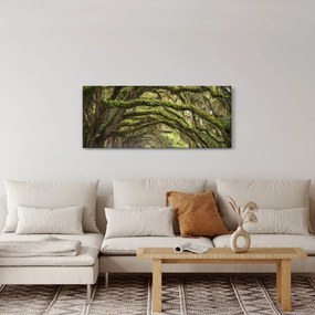 Tablou - Oaks Avenue, Charleston, Carolina de Sud, SUA (120x50 cm)