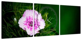Tablou cu floare roz (cu ceas) (90x30 cm)