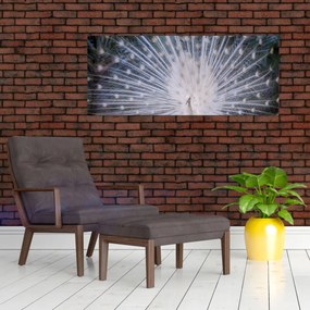 Tablou - Păun alb (120x50 cm)