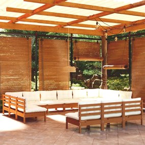 3097238 vidaXL Set mobilier de grădină cu perne 13 piese maro miere lemn pin