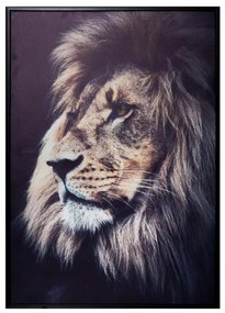 Tablou canvas Lion King, 48x68 cm
