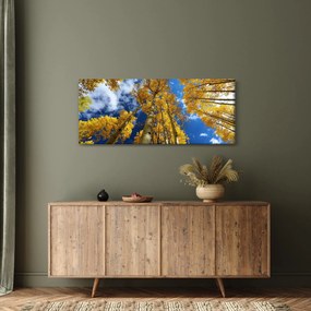 Tablou - Aspen (120x50 cm)