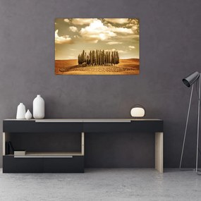 Tablou cu luncă (90x60 cm)