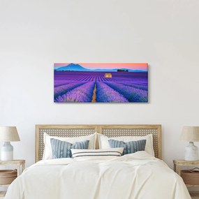 Tablou - Câmp de levănțica (120x50 cm)