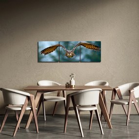 Tablou -Bufnita în zbor (cu ceas) (90x30 cm)