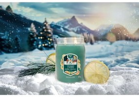 Yankee Candle Lumânare parfumată mare Signature Holiday Winterfest, 567 g, L