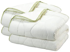 2xDORMEO PILOTĂ DUBLĂ ALOE VERA 200X200