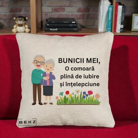Cadou pentru Bunici - Perna Personalizata Bunicii Mei Comoara Cuplu Senior cu Flori Colorat, 40x40 cm, Bej Canapea, Husa Detasabila, Perna Inclusa, BEKZ®