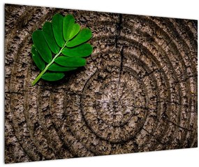Tablou cu frunză pe trunchi de copac (90x60 cm)