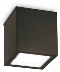 Plafoniera exterior neagra Ideal-Lux Techo pl1- 251578