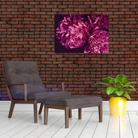 Tablou - Floarea bujorului (70x50 cm)