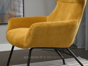 Fotoliu Condor (med + negru). 1109988