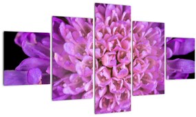 Tablou detailat cu floare (125x70 cm), în 40 de alte dimensiuni noi