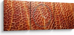 Tablou - Detaliu de textură (cu ceas) (90x30 cm)