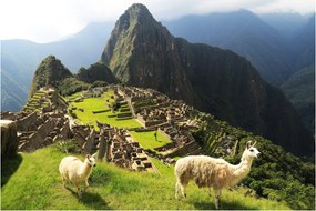 Tablou - Machu Picchu (90x60 cm)