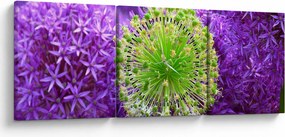 Tablou cu floare (cu ceas) (90x30 cm)