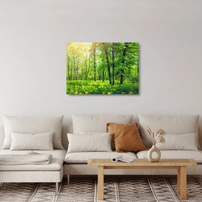 Tablou pe sticlă - Pădurea cu frunze de primăvară (70x50 cm)