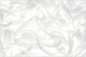 Tablou - Petale de frunze (90x60 cm)