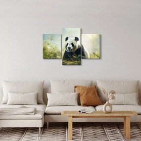 Tablou - Panda (90x60 cm)