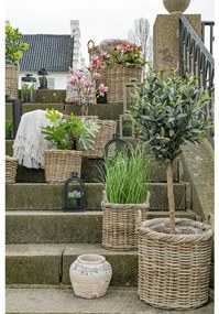 Gili Coșuri cubu rattan, natural 2 bucăți