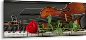 Tablou- Amintire de muzicean (120x50 cm)